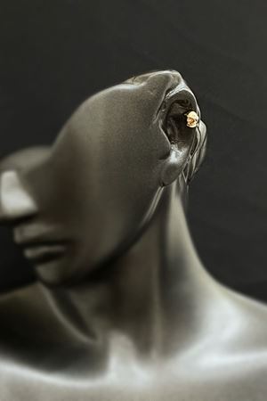 Kuru Kafa Altın  Tragus  TRG0001