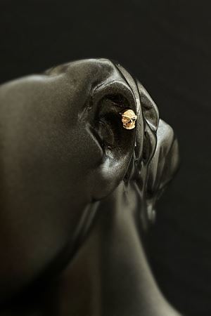 Kuru Kafa Altın  Tragus  TRG0001