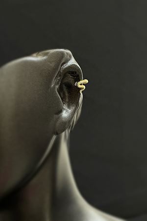 Yılan Tragus TRG0002