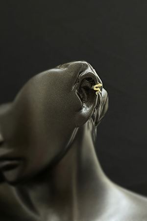 Yılan Tragus TRG0002