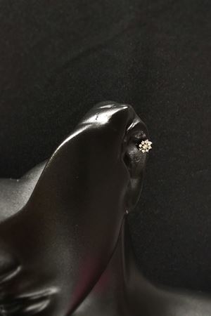 Taşlı Çiçek Tragus TRG0005