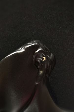 Taşlı Ay Tragus TRG0006
