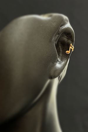 Nota Tragus  TRG0007