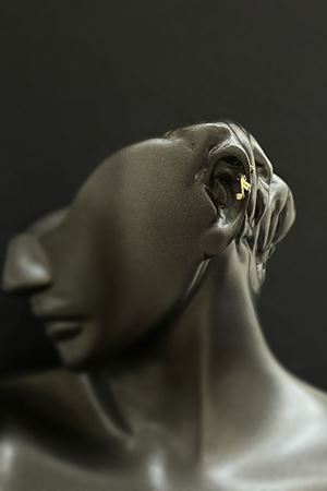 Nota Tragus  TRG0007