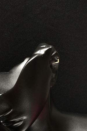 Desenli Tragus TRG0012