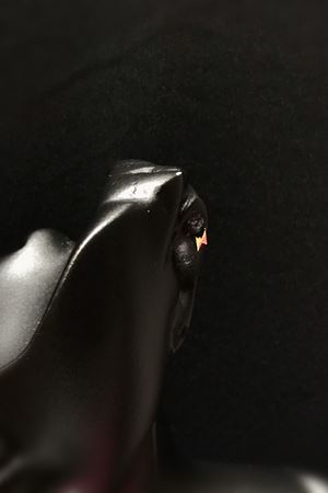 Şimşek Tragus TRG0014