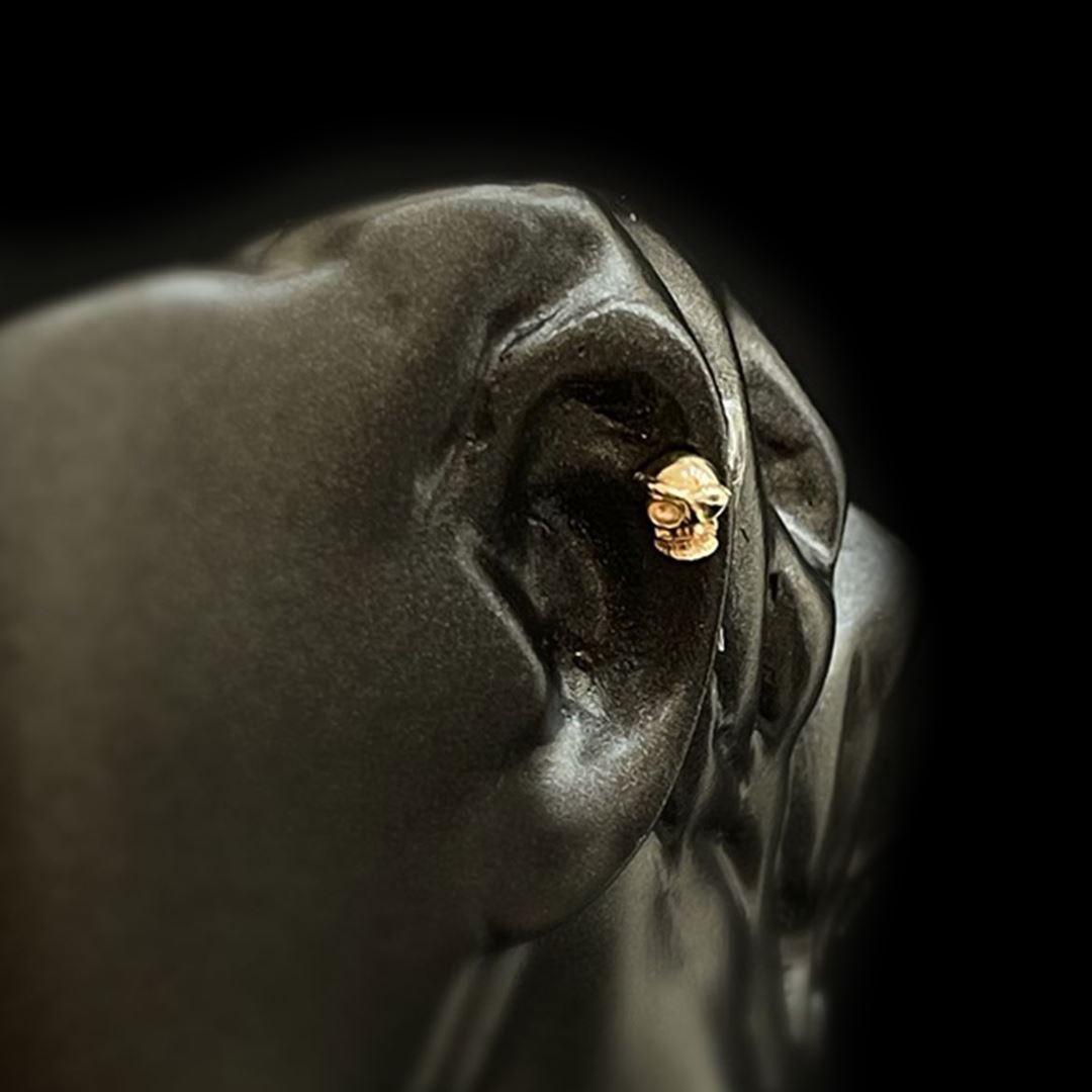 Kuru Kafa Altın  Tragus  TRG0001