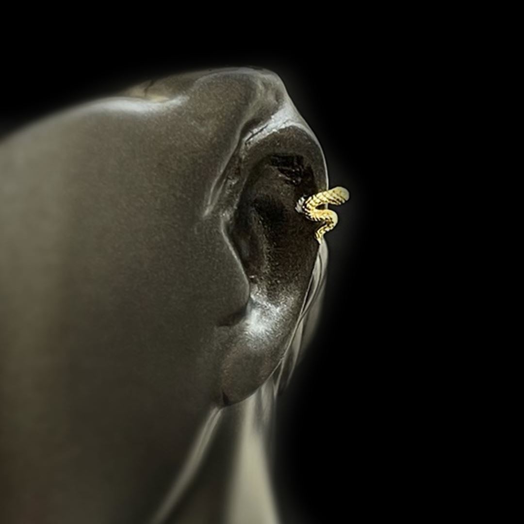 Yılan Tragus TRG0002