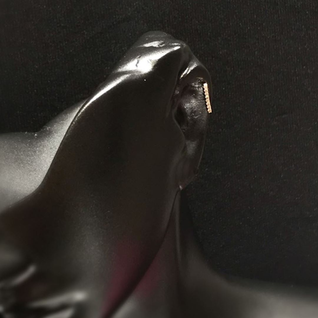 Taşlı Düz Tragus TRG0004