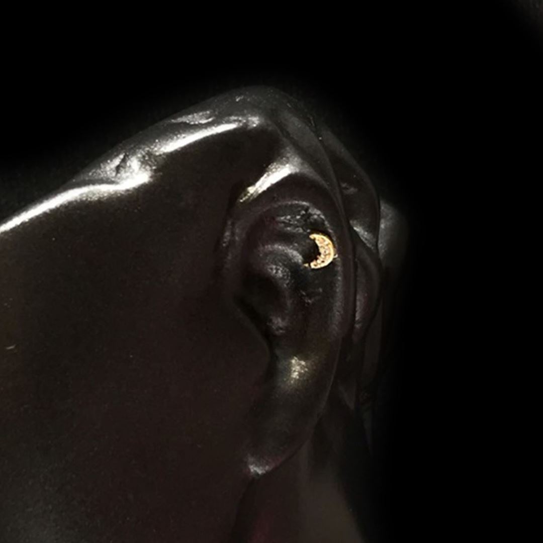 Taşlı Ay Tragus TRG0006