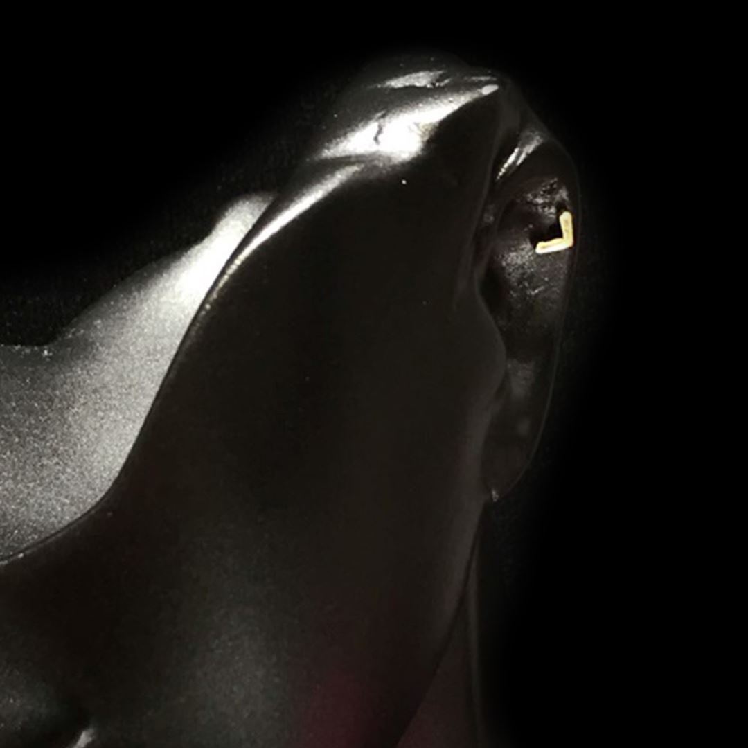 Desenli Tragus TRG0012