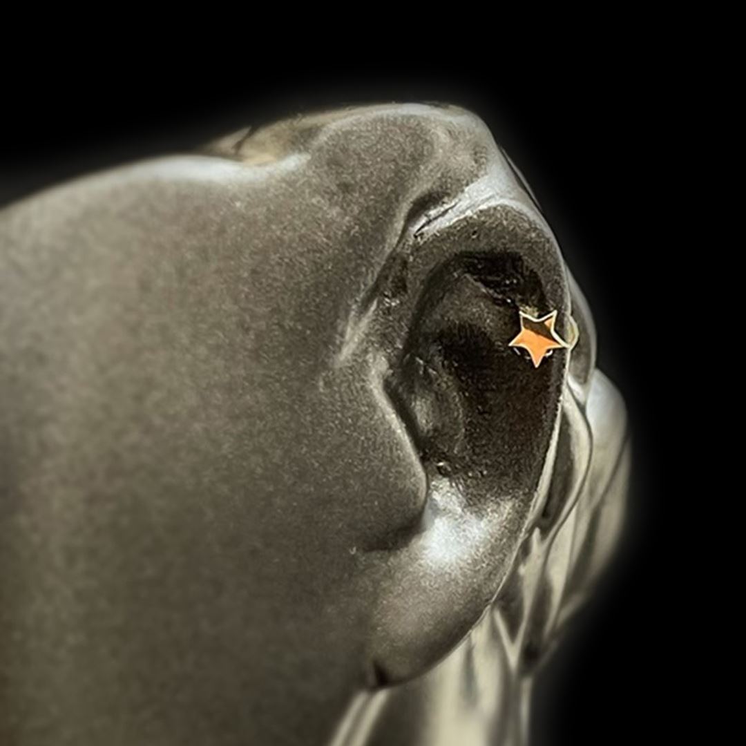 Yıldız Tragus TRG0013